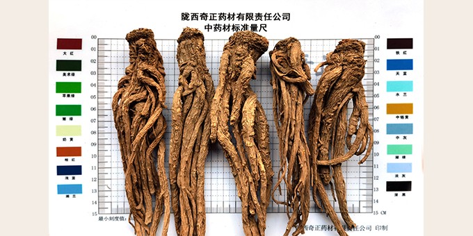 當歸個(gè)子