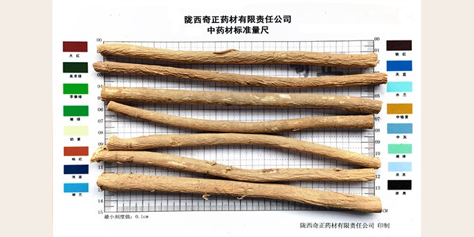 黃芪節子