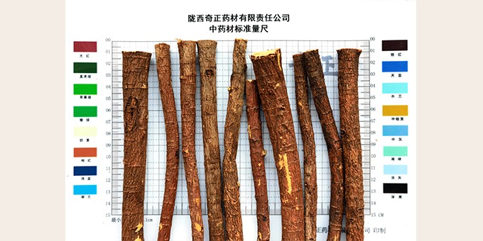 甘草節子