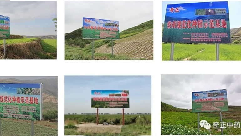 隴西奇正藥材有限責任公司入選第一批國家中藥材標準化與質(zhì)量評估創(chuàng  )新聯(lián)盟GAP重點(diǎn)培育單位